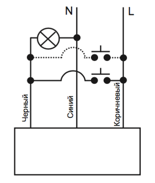 ASO-205